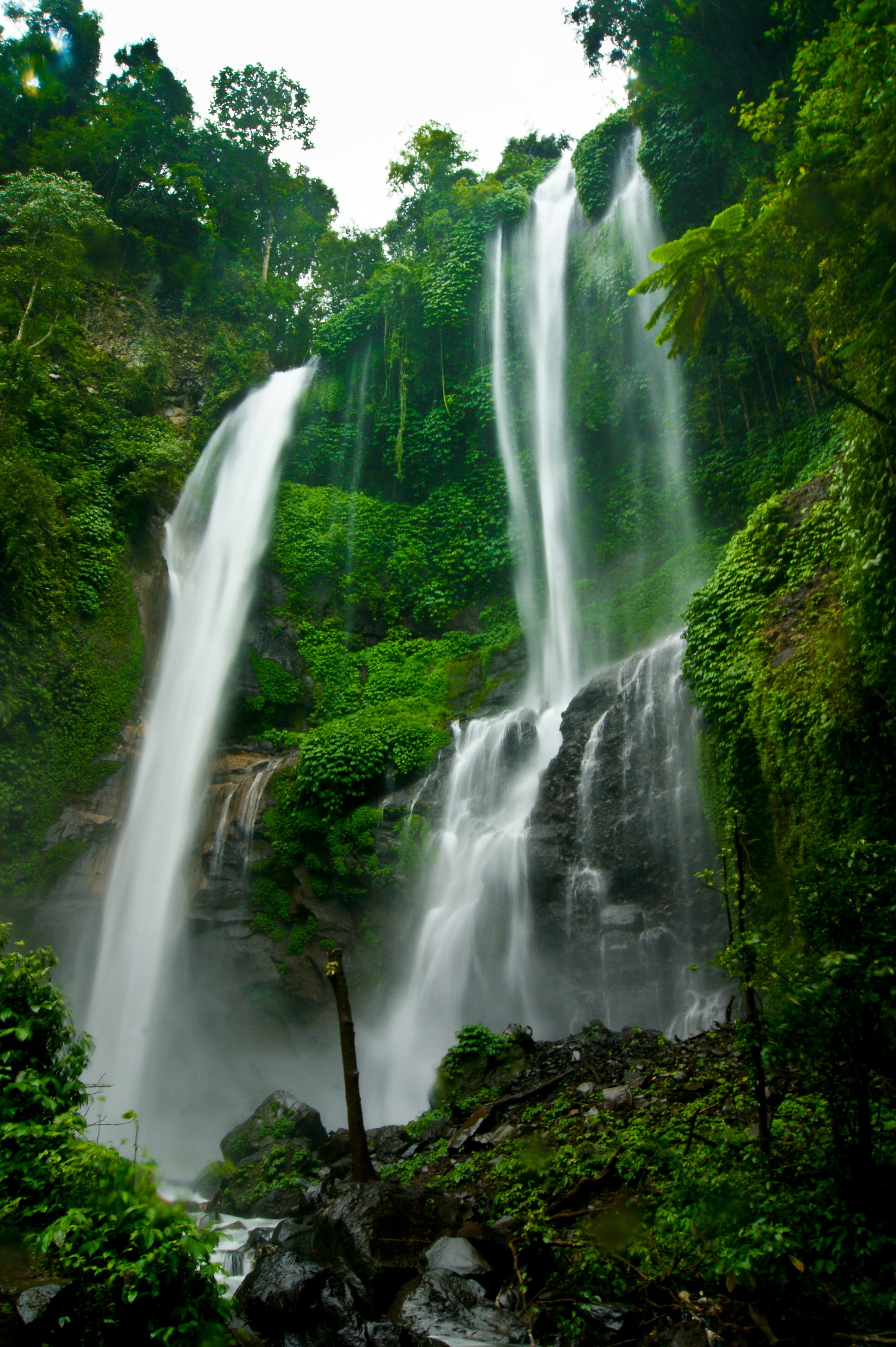junot-adiputra-dy97EPdb9F0-unsplash